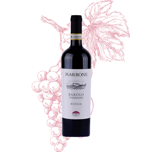 Marrone Bussia Barolo DOCG 2017