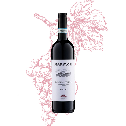 Marrone Carlot Barbera d'Alba DOC