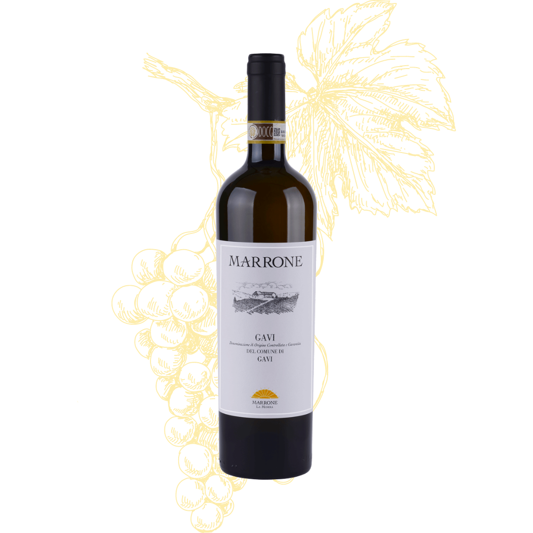 Marrone Gavi DOCG