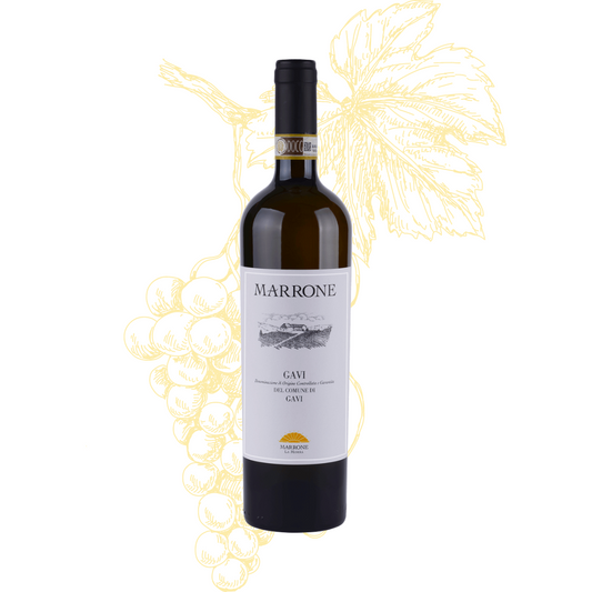 Marrone Gavi DOCG