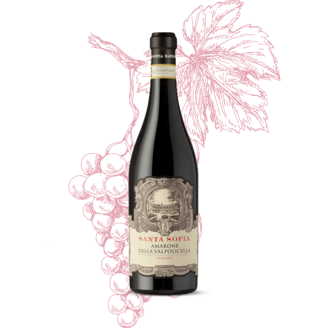 Santa Sofia Amarone della Valpolicella Classico DOC 2017