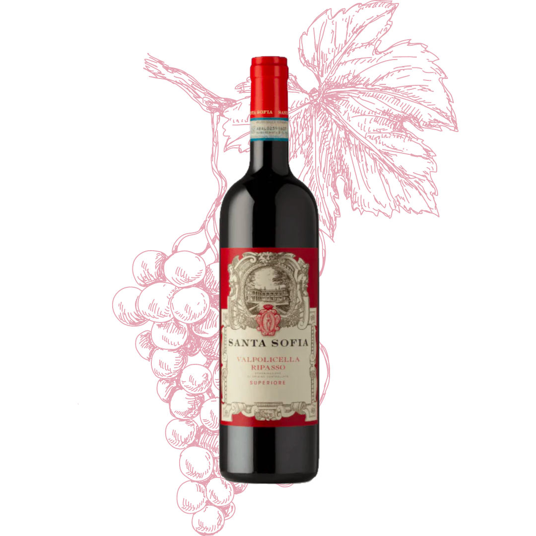 Santa Sofia Valpolicella Ripasso Classico Superiore DOC 2019